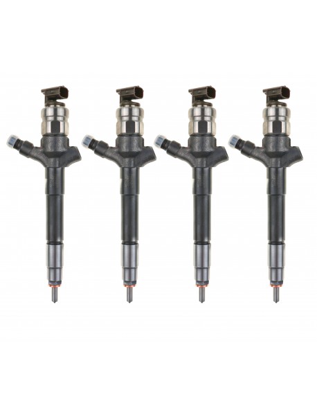 Revizyonlu Enjektör 55570012